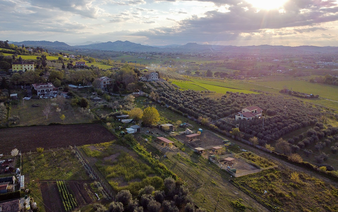mob-Fattoria-didattica-Rimini-Santa-Pazienza-22