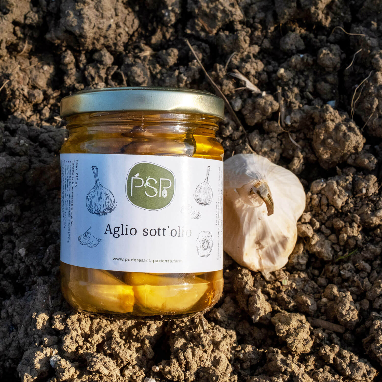 Aglio-Sottolio-Podere-Santa_Pazienza-2