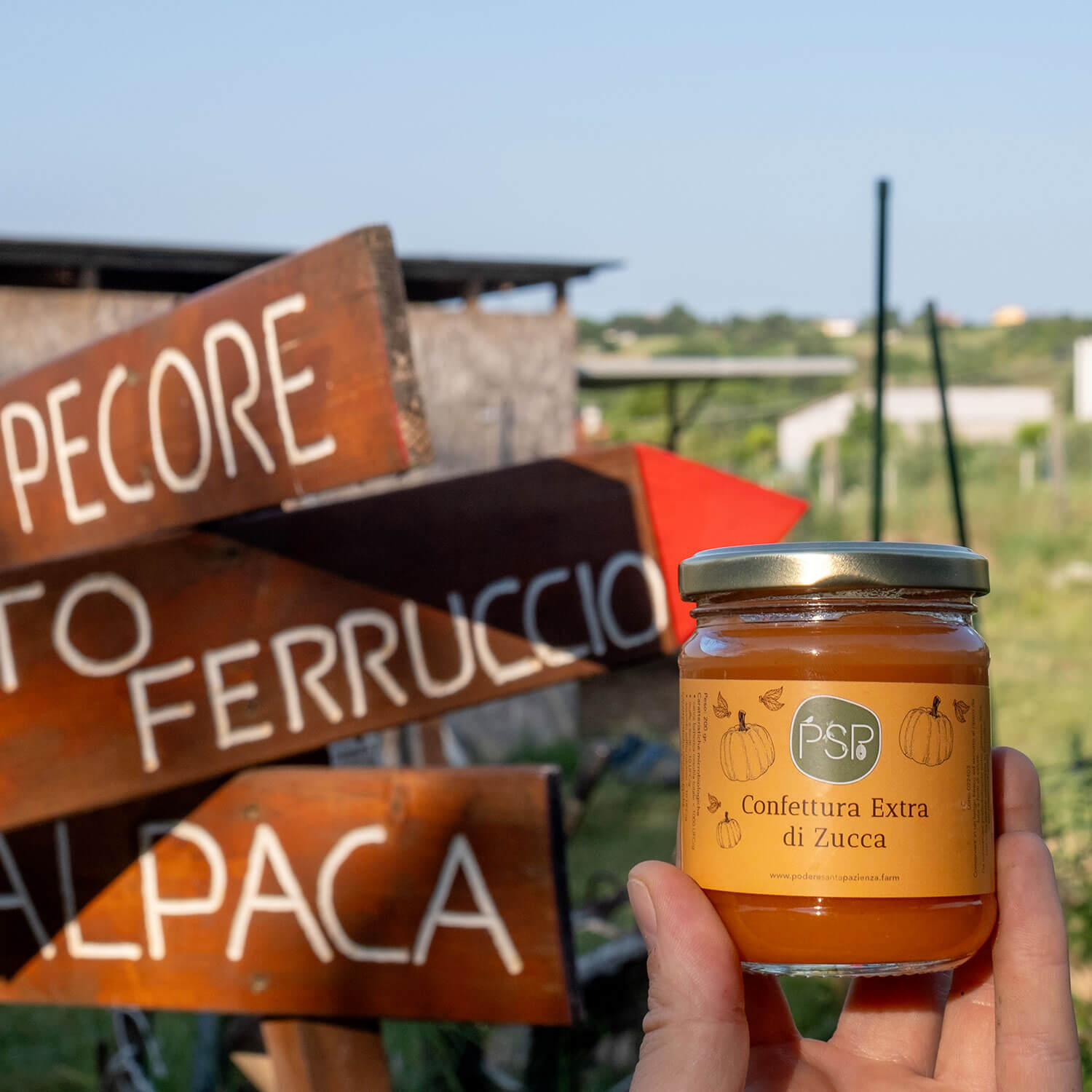 Confettura-zucca-Santa_Pazienza-1