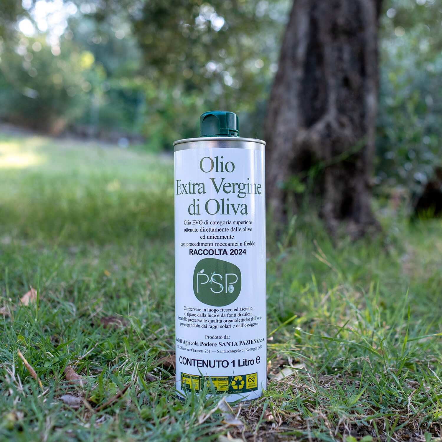 Olio-Extra-Vergine-di-Oliva-Olio-Santa_Pazienza-2