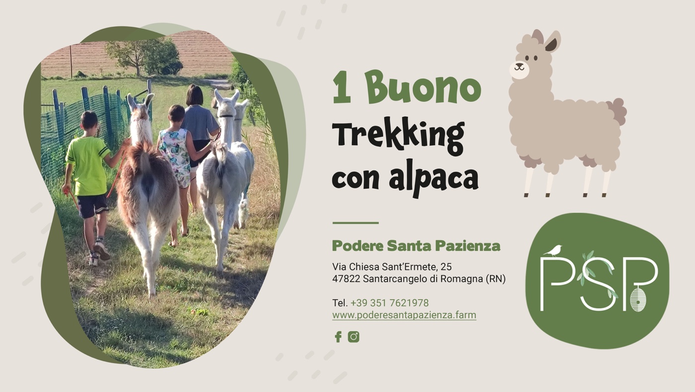Buono-trek-AlpacaTavola da disegno 1
